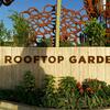 Rooftop Garden