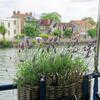 Fleur - Boat Bike Tours