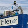 Fleur - Boat Bike Tours
