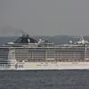 MSC Kreuzfahrten